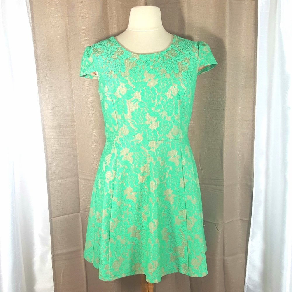 Enfocus Women Green Lace Overlay Dress Size 16W